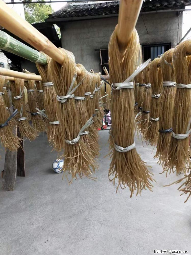 【灌阳正宗红薯粉】美女家里自己做的，干净卫生，假一赔十，价格合理，抢购电话：13737312895 - 美食天地 - 许昌生活社区 - 许昌28生活网 xc.28life.net