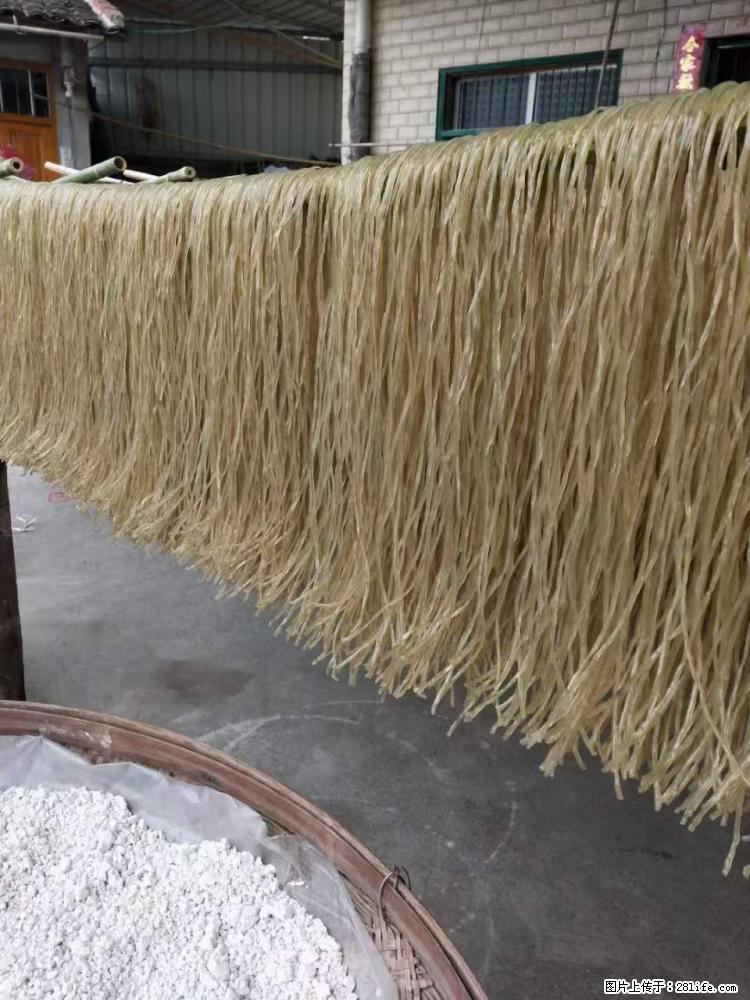 【灌阳正宗红薯粉】美女家里自己做的，干净卫生，假一赔十，价格合理，抢购电话：13737312895 - 美食天地 - 许昌生活社区 - 许昌28生活网 xc.28life.net