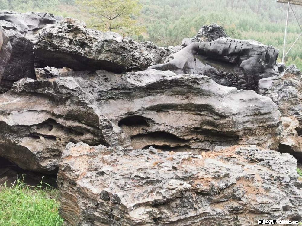 风景石、假山石大量有货，有需要的欢迎联系 - 新手上路 - 许昌生活社区 - 许昌28生活网 xc.28life.net