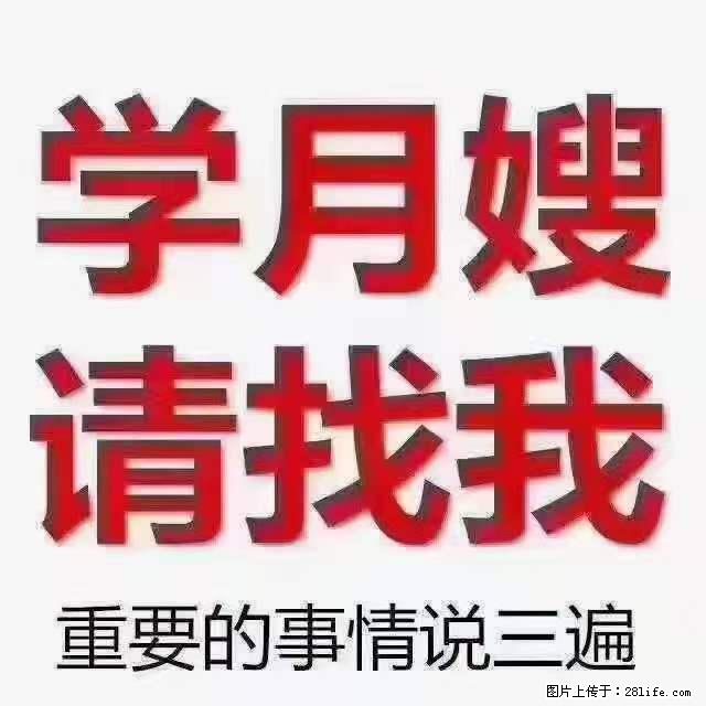 为什么要学习月嫂，育婴师？ - 新手上路 - 许昌生活社区 - 许昌28生活网 xc.28life.net