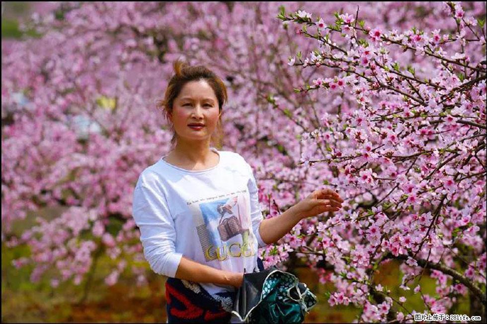 【春天，广西桂林灌阳县向您发出邀请！】官庄村有个醉美的桃花园 - 游山玩水 - 许昌生活社区 - 许昌28生活网 xc.28life.net