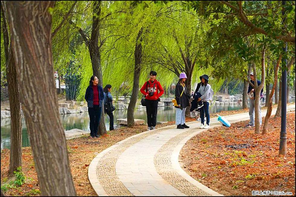 【春天，广西桂林灌阳县向您发出邀请！】江口老街又逢春 - 游山玩水 - 许昌生活社区 - 许昌28生活网 xc.28life.net