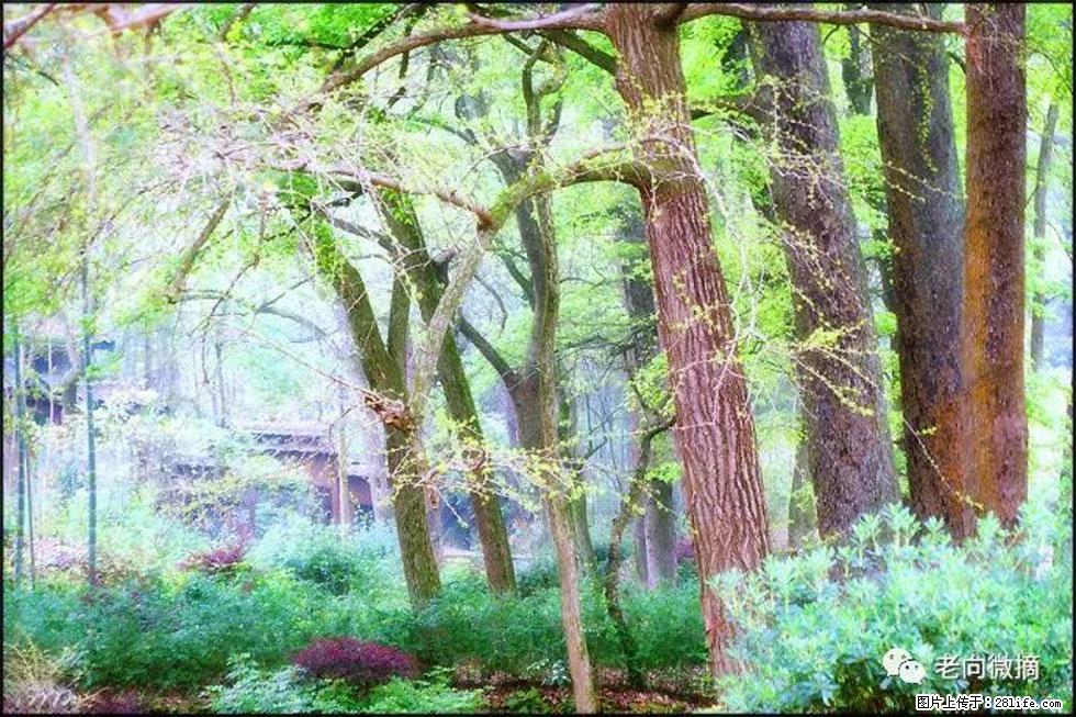 【春天，广西桂林灌阳县向您发出邀请！】在小龙村与春天约会 - 游山玩水 - 许昌生活社区 - 许昌28生活网 xc.28life.net