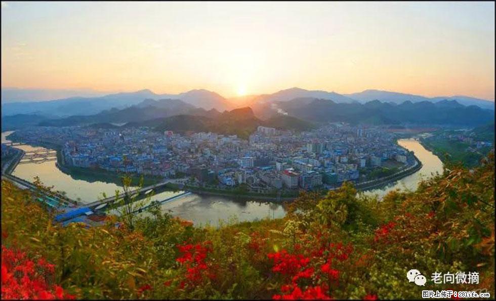 【春天，广西桂林灌阳县向您发出邀请！】登麒麟山，相约映山红 - 游山玩水 - 许昌生活社区 - 许昌28生活网 xc.28life.net
