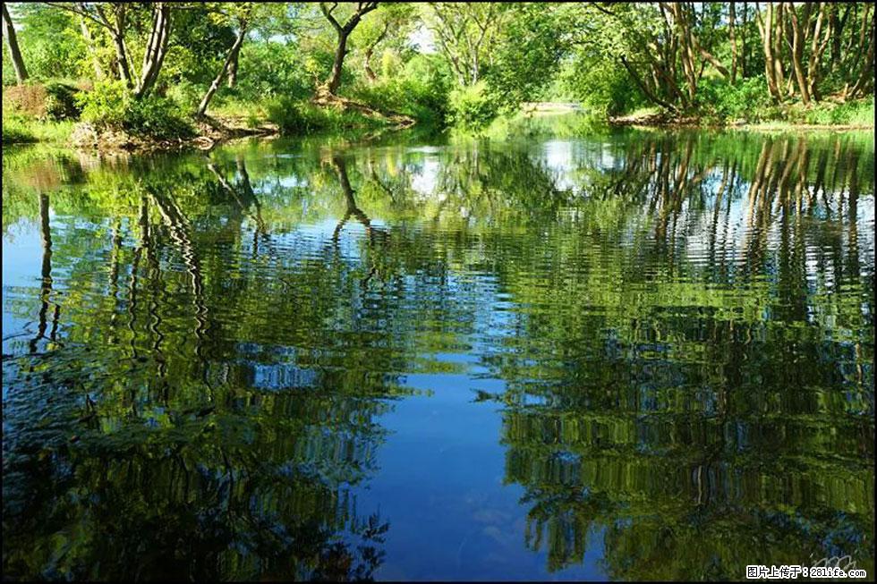 【春天，广西桂林灌阳县向您发出邀请！】熊家寨湿地公园 - 游山玩水 - 许昌生活社区 - 许昌28生活网 xc.28life.net