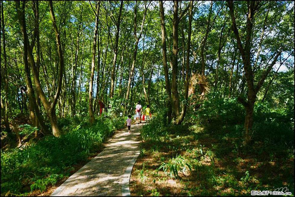 【春天，广西桂林灌阳县向您发出邀请！】熊家寨湿地公园 - 游山玩水 - 许昌生活社区 - 许昌28生活网 xc.28life.net