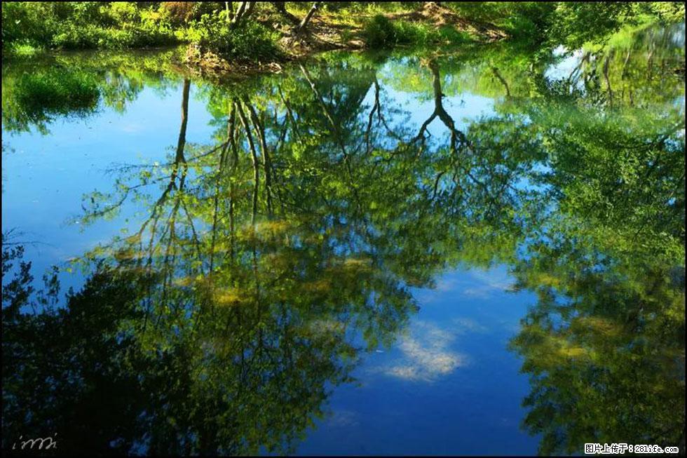 【春天，广西桂林灌阳县向您发出邀请！】熊家寨湿地公园 - 游山玩水 - 许昌生活社区 - 许昌28生活网 xc.28life.net