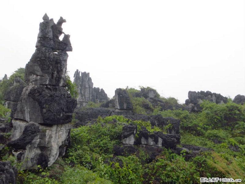 桂林旅游名城景点：灌阳文市石林 - 游山玩水 - 许昌生活社区 - 许昌28生活网 xc.28life.net