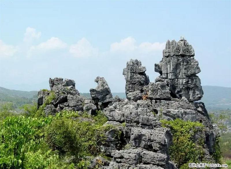 桂林旅游名城景点：灌阳文市石林 - 游山玩水 - 许昌生活社区 - 许昌28生活网 xc.28life.net