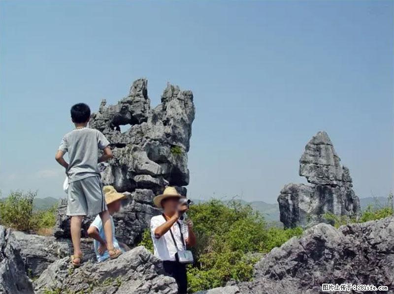 桂林旅游名城景点：灌阳文市石林 - 游山玩水 - 许昌生活社区 - 许昌28生活网 xc.28life.net