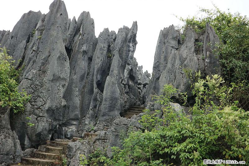 桂林旅游名城景点：灌阳文市石林 - 游山玩水 - 许昌生活社区 - 许昌28生活网 xc.28life.net