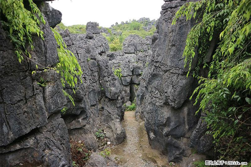 桂林旅游名城景点：灌阳文市石林 - 游山玩水 - 许昌生活社区 - 许昌28生活网 xc.28life.net