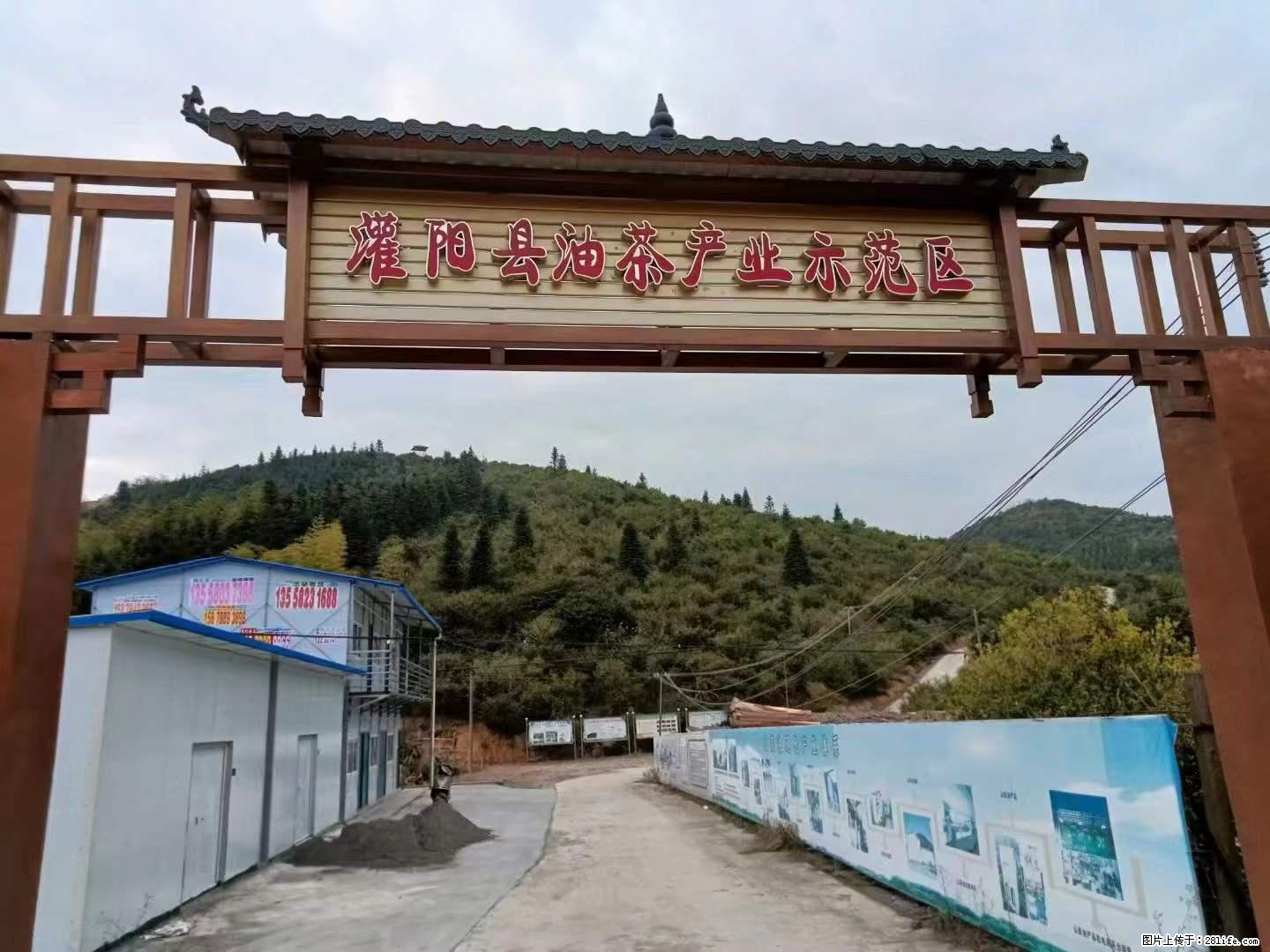 【灌阳县油茶产业示范区】一个有着充实的精神生活的人，对待身外之物自会有一种淡泊的态度 - 美食天地 - 许昌生活社区 - 许昌28生活网 xc.28life.net