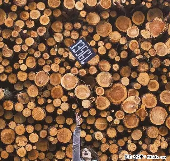 辞掉工作周游世界？现在他们在洗厕所…… - 游山玩水 - 许昌生活社区 - 许昌28生活网 xc.28life.net