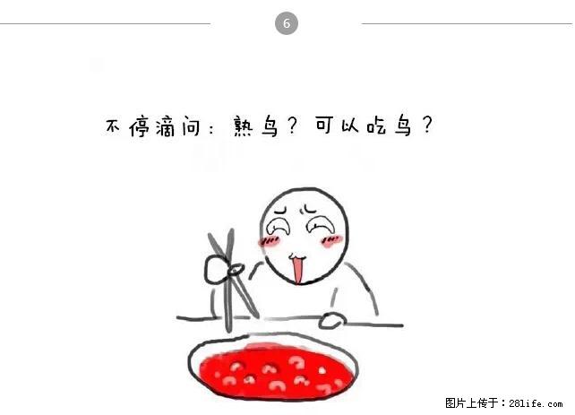 千万不要和这9种哈卵一起吃火锅！ - 美食天地 - 许昌生活社区 - 许昌28生活网 xc.28life.net
