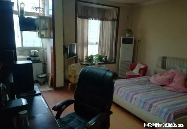 建安大道文峰路 金地嘉苑 大标间 舒适干净 设备齐全 - 房屋出租 - 房屋租售 - 许昌分类信息 - 许昌28生活网 xc.28life.net