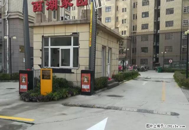 劳动路胖东来店人民医院健康路小学一中 西湖家园 电梯精装 - 房屋出租 - 房屋租售 - 许昌分类信息 - 许昌28生活网 xc.28life.net