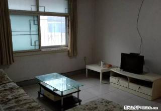 东顺河街 五交化家属院 精装修 低楼层 有储藏室随时看房 - 许昌28生活网 xc.28life.net