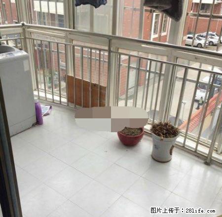 东区 唐岗街 上东城 精装二室 要求爱干净的男女租户 - 房屋出租 - 房屋租售 - 许昌分类信息 - 许昌28生活网 xc.28life.net