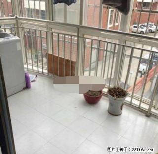 东区 唐岗街 上东城 精装二室 要求爱干净的男女租户 - 许昌28生活网 xc.28life.net
