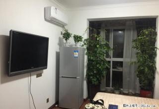 文峰路茂源国际，精装一室家具家电齐全拎包入住 - 许昌28生活网 xc.28life.net