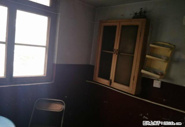 劳动路中段区卫生局家属院，两室，离健康小学近 - 房屋出租 - 房屋租售 - 许昌分类信息 - 许昌28生活网 xc.28life.net