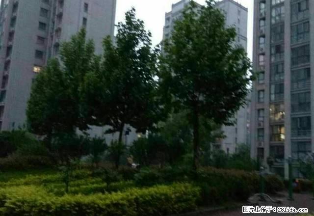 东区学府名苑三室稀有一楼居住办公均可好房不等人 - 房屋出租 - 房屋租售 - 许昌分类信息 - 许昌28生活网 xc.28life.net