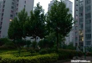 东区学府名苑三室稀有一楼居住办公均可好房不等人 - 许昌28生活网 xc.28life.net