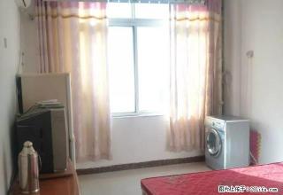 东区欧陆阳光电梯一室掂包入住可做饭南户采光好 - 许昌28生活网 xc.28life.net