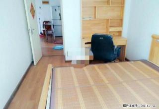 学府名苑 两室精装 双气 婚房住了几天 拎包即住 - 许昌28生活网 xc.28life.net
