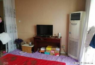 八一路金色家园精装一室公寓随时看房拎包入住 - 许昌28生活网 xc.28life.net