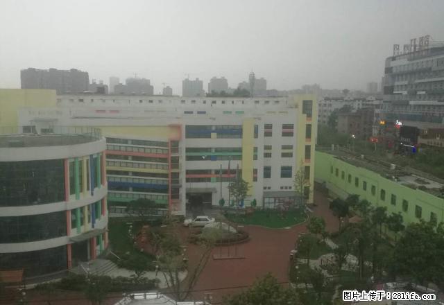 六一路育才路交叉口 电影公司家属院 精装三室 拎包整租长租先 - 房屋出租 - 房屋租售 - 许昌分类信息 - 许昌28生活网 xc.28life.net