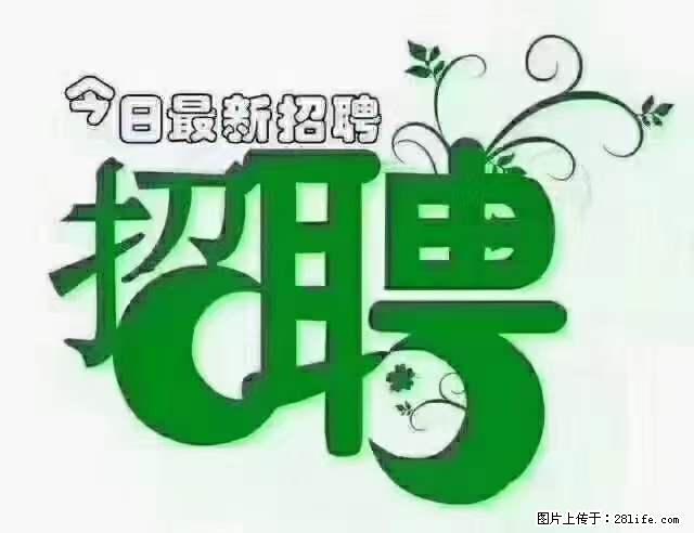 【招聘摄像师】待遇：试用期6000元/月，转正7000元/月+五险一金+餐补+节日福利+奖金 - 职场交流 - 许昌生活社区 - 许昌28生活网 xc.28life.net