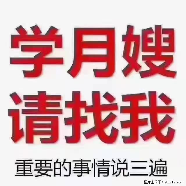 【招聘】月嫂，上海徐汇区 - 职场交流 - 许昌生活社区 - 许昌28生活网 xc.28life.net