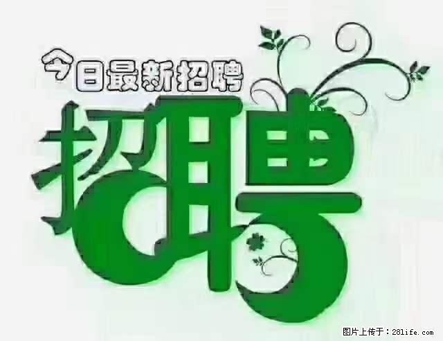 上海青浦区招仓管 - 职场交流 - 许昌生活社区 - 许昌28生活网 xc.28life.net