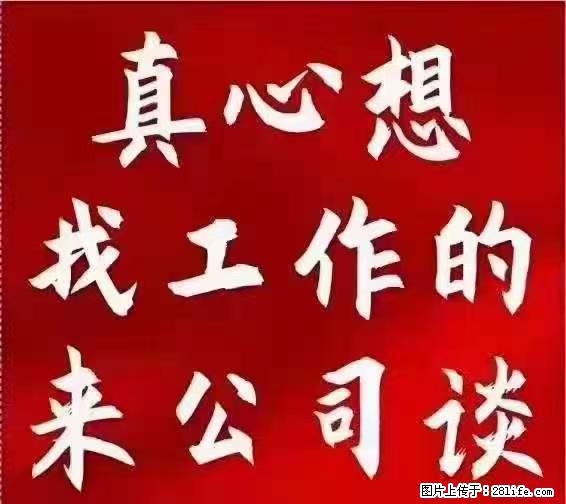 【上海】国企，医院招两名男保安，55岁以下，身高1.7米以上，无犯罪记录不良嗜好 - 职场交流 - 许昌生活社区 - 许昌28生活网 xc.28life.net