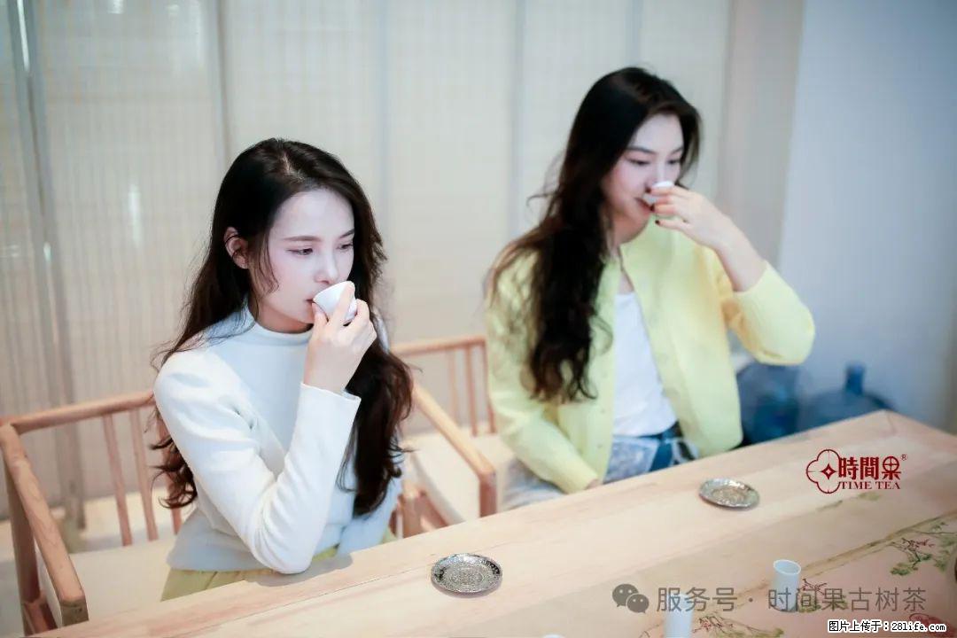 时间果百年古树龙珠普洱生茶 - 购物交流 - 许昌生活社区 - 许昌28生活网 xc.28life.net