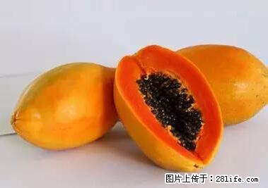 晕车、脚气、牙齿变黄、皮肤粗糙？学会这些三分钟搞定！ - 许昌生活资讯 - 许昌28生活网 xc.28life.net