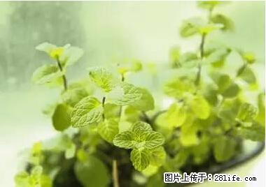 晕车、脚气、牙齿变黄、皮肤粗糙？学会这些三分钟搞定！ - 许昌生活资讯 - 许昌28生活网 xc.28life.net