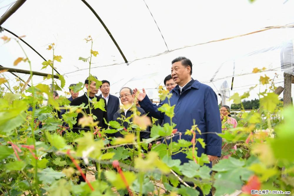 习近平赴广西考察调研 - 许昌生活资讯 - 许昌28生活网 xc.28life.net