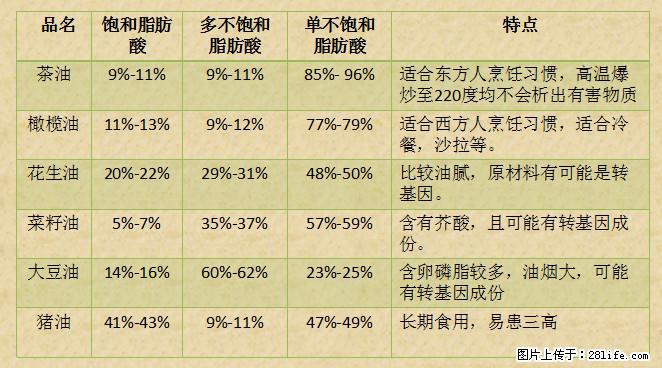 揭秘茶油的5大核心营养成分！被称为人体健康的“守护盾”！ - 许昌生活资讯 - 许昌28生活网 xc.28life.net
