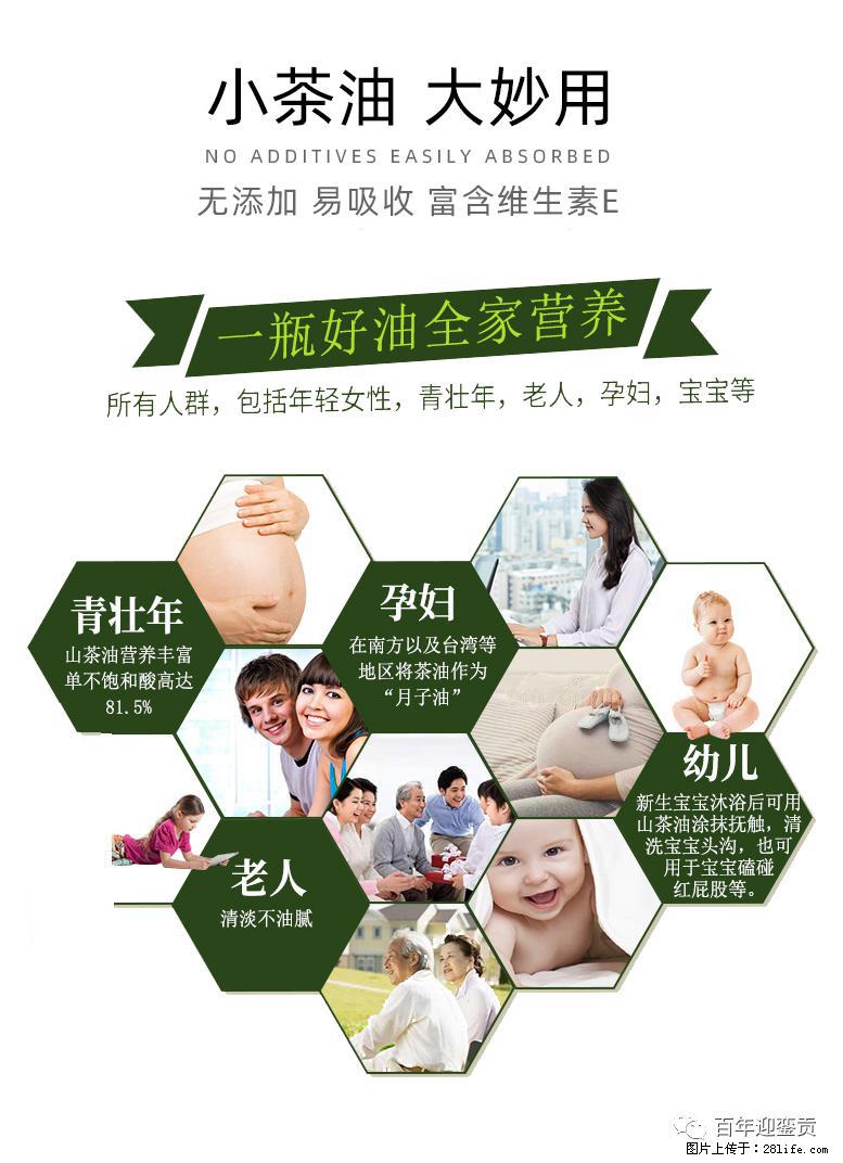 世界没有真相，只有认知，最好的食用油是中国的山茶油！ - 许昌生活资讯 - 许昌28生活网 xc.28life.net