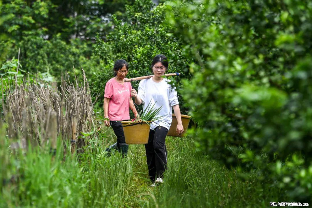 全网追的“扁担女孩”，找了一份暑假工，时薪12元 - 许昌生活资讯 - 许昌28生活网 xc.28life.net
