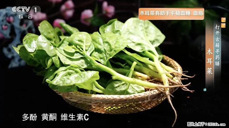 比牛奶补钙还厉害！凉血解毒、稳血糖...这菜冬天必吃，很多人却当草 - 许昌生活资讯 - 许昌28生活网 xc.28life.net
