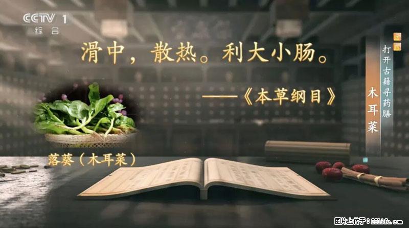 比牛奶补钙还厉害！凉血解毒、稳血糖...这菜冬天必吃，很多人却当草 - 许昌生活资讯 - 许昌28生活网 xc.28life.net
