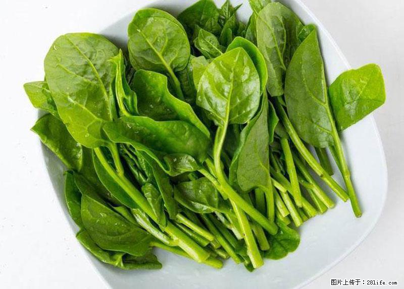 这些蔬菜是“天然钙片”，这6种被医生重点推荐 - 许昌生活资讯 - 许昌28生活网 xc.28life.net