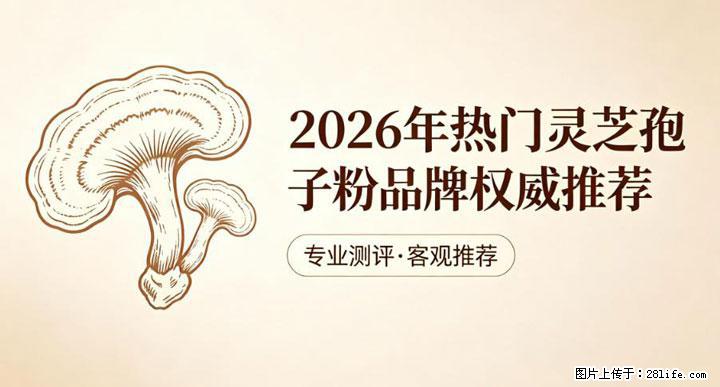 灵芝孢子粉含量越高越有效？2026 年七款热门品牌深度实测，肠胃敏感者避坑指南 - 许昌生活资讯 - 许昌28生活网 xc.28life.net