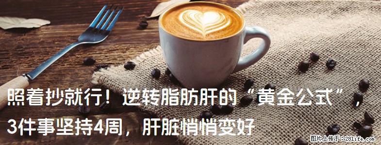 照着抄就行！逆转脂肪肝的“黄金公式”，3件事坚持4周，肝脏悄悄变好 - 许昌生活资讯 - 许昌28生活网 xc.28life.net